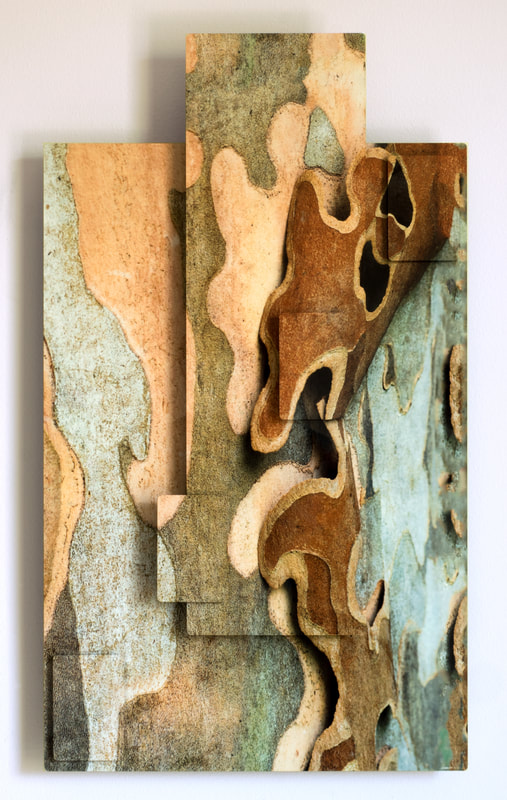 Photo Bark of an American Sycamore tree in an aluminum sculpture